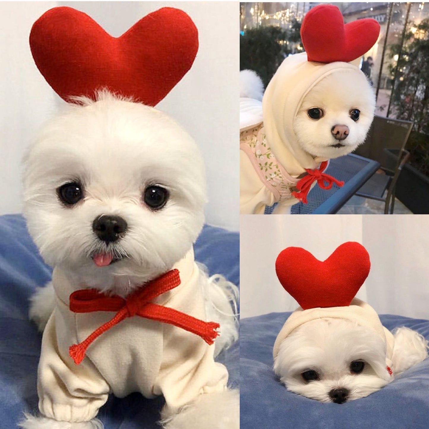 Ropa bonita con diseño de frutas para perros pequeños, sudaderas con capucha, ropa de invierno cálida de forro polar para mascotas, disfraz para cachorros y gatos, abrigo para chihuahua francés.